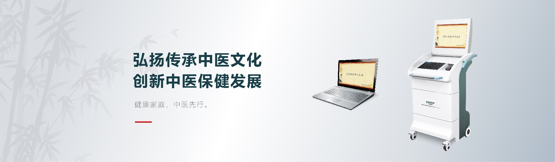 中医保健系列